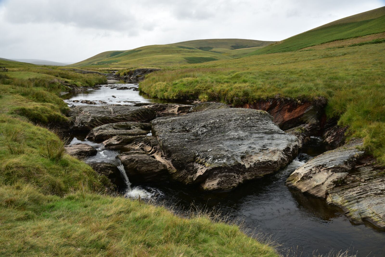 Nikon D750 sample photo. Landscape, england, bach photography