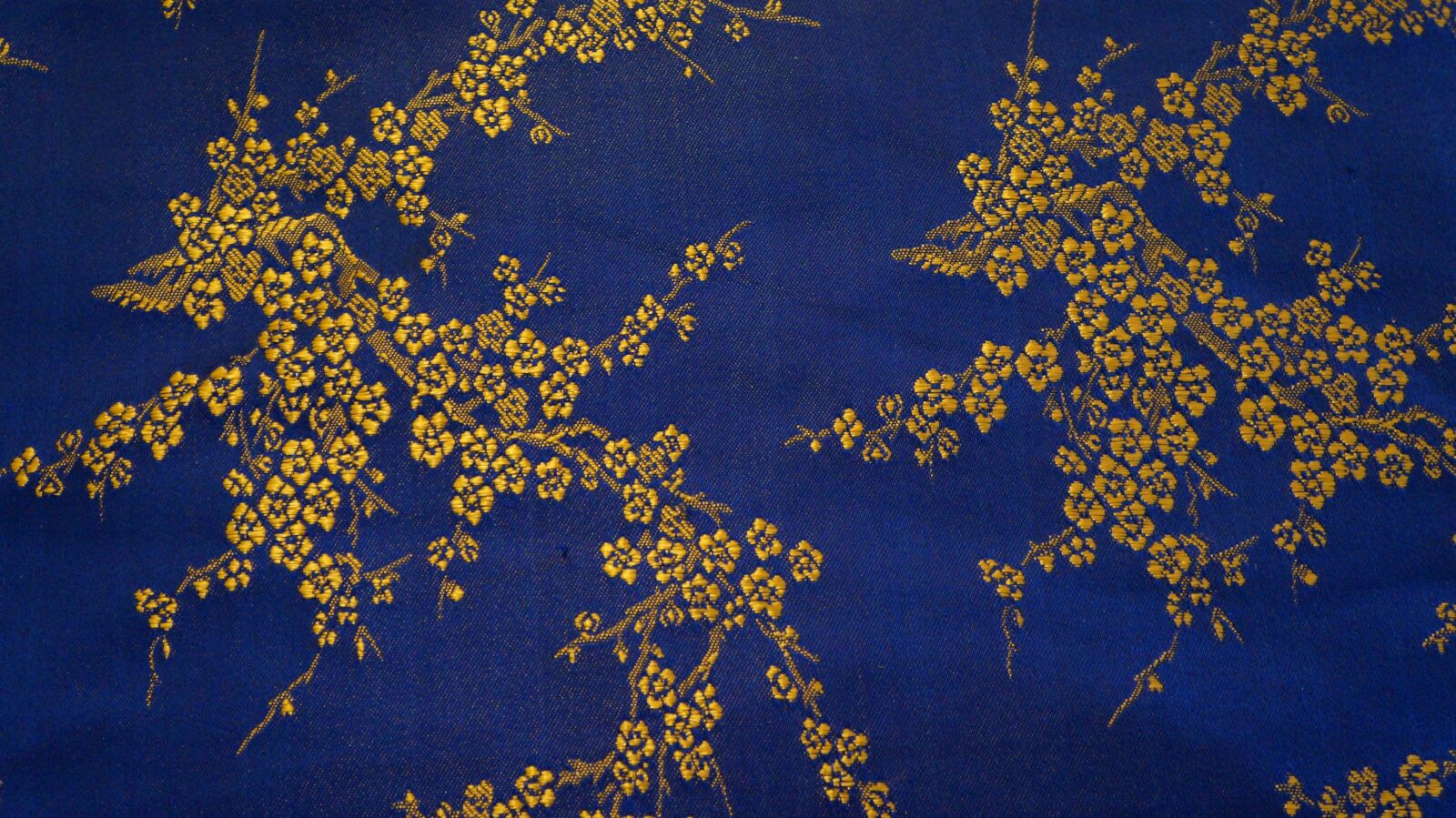 Sony Alpha a3000 + Sony E 18-55mm F3.5-5.6 OSS sample photo. Texture, blue, gold photography