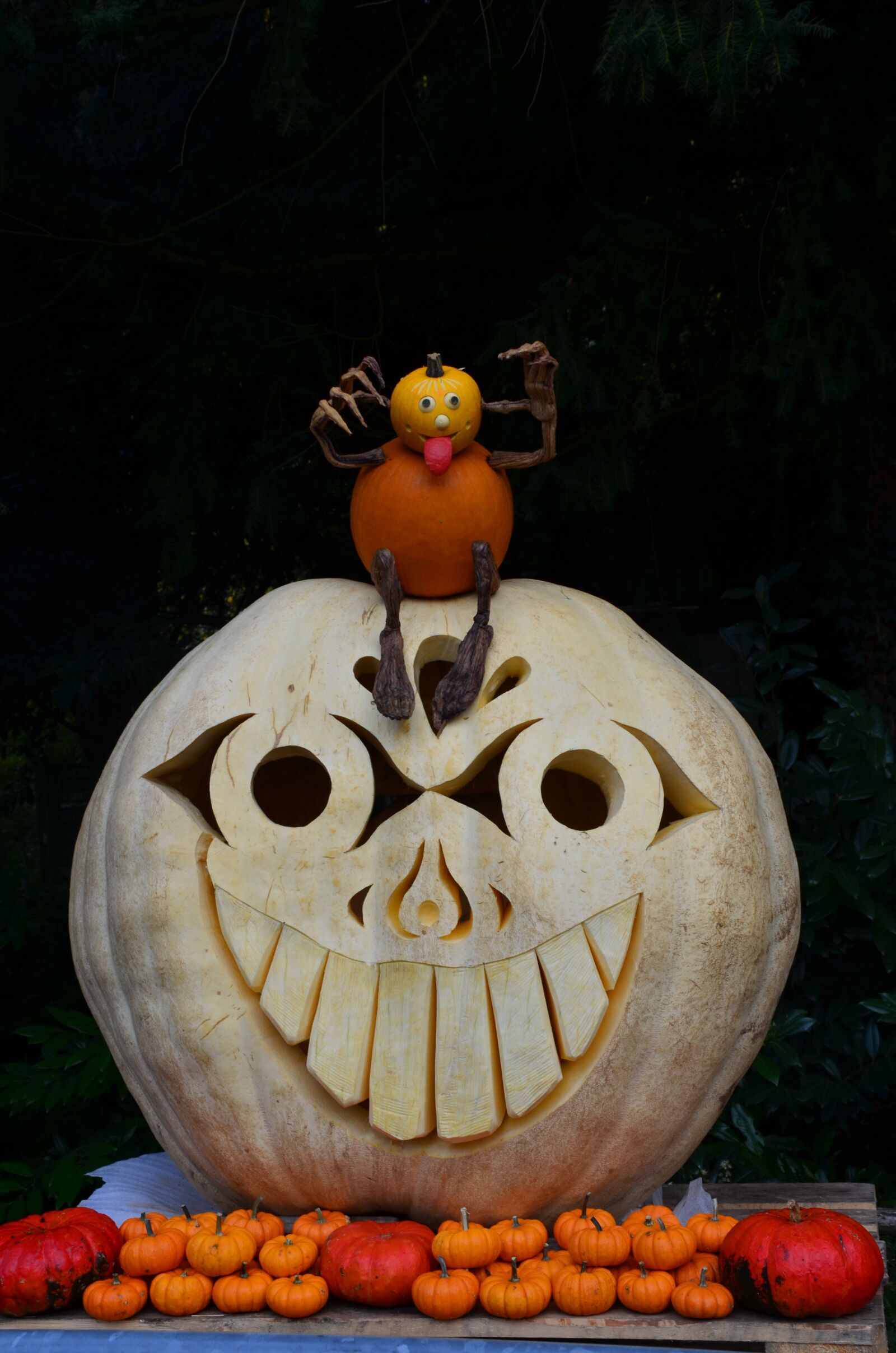 Nikon D5100 sample photo. Pumpkin, figures, autumn photography