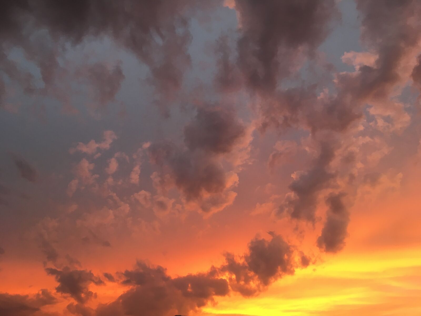 iPhone SE back camera 4.15mm f/2.2 sample photo. Sky, sunset, mood photography