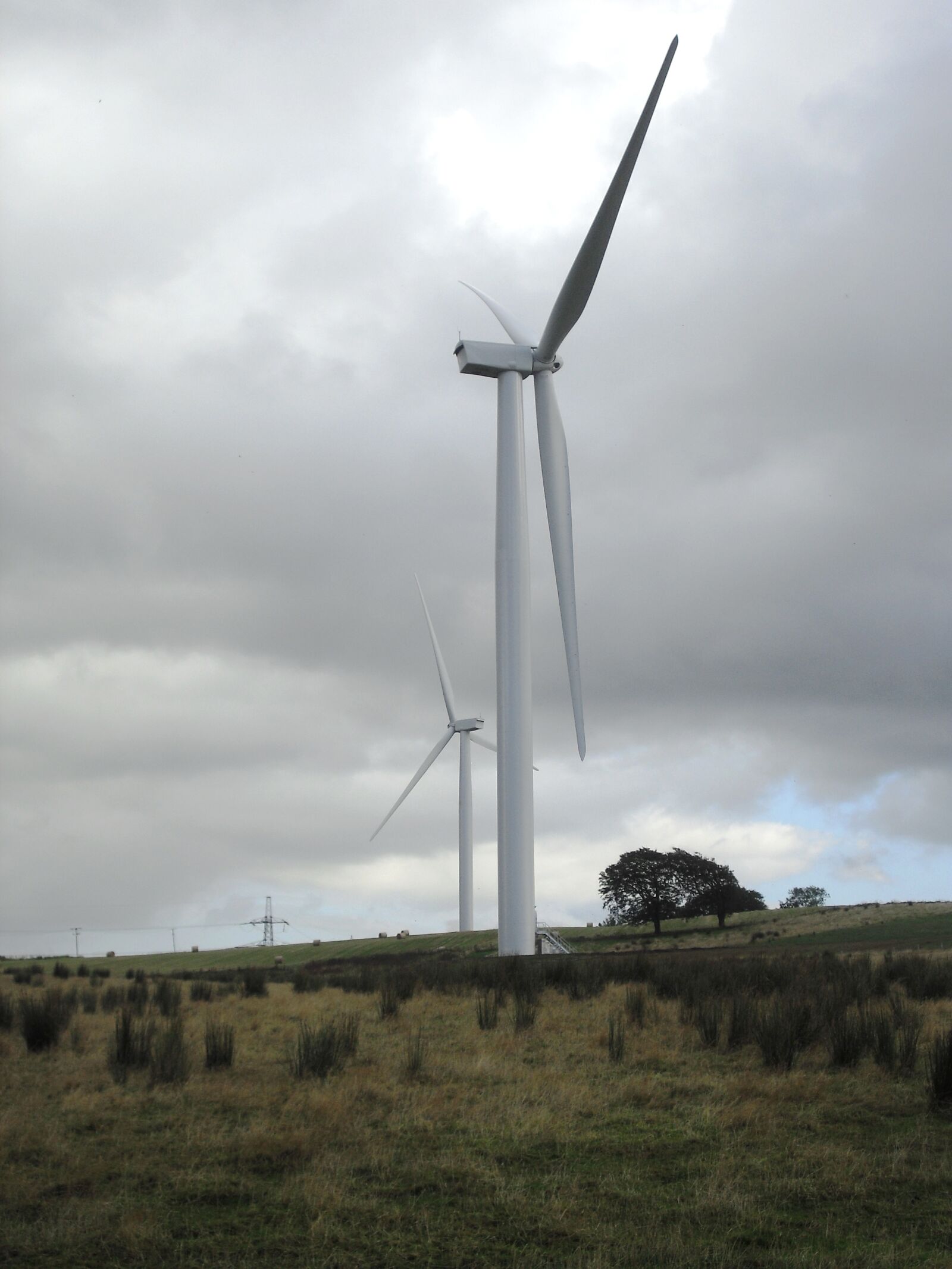 Casio Exilim EX-Z33 sample photo. Wind farm, wind turbine photography