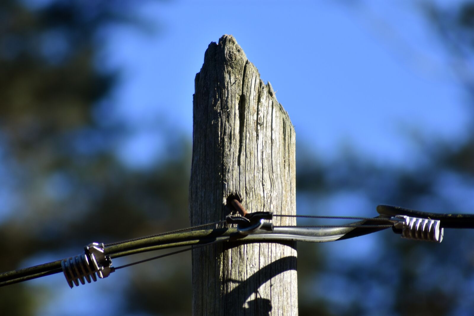 Nikon D3400 sample photo. Pole, sky, the cord photography