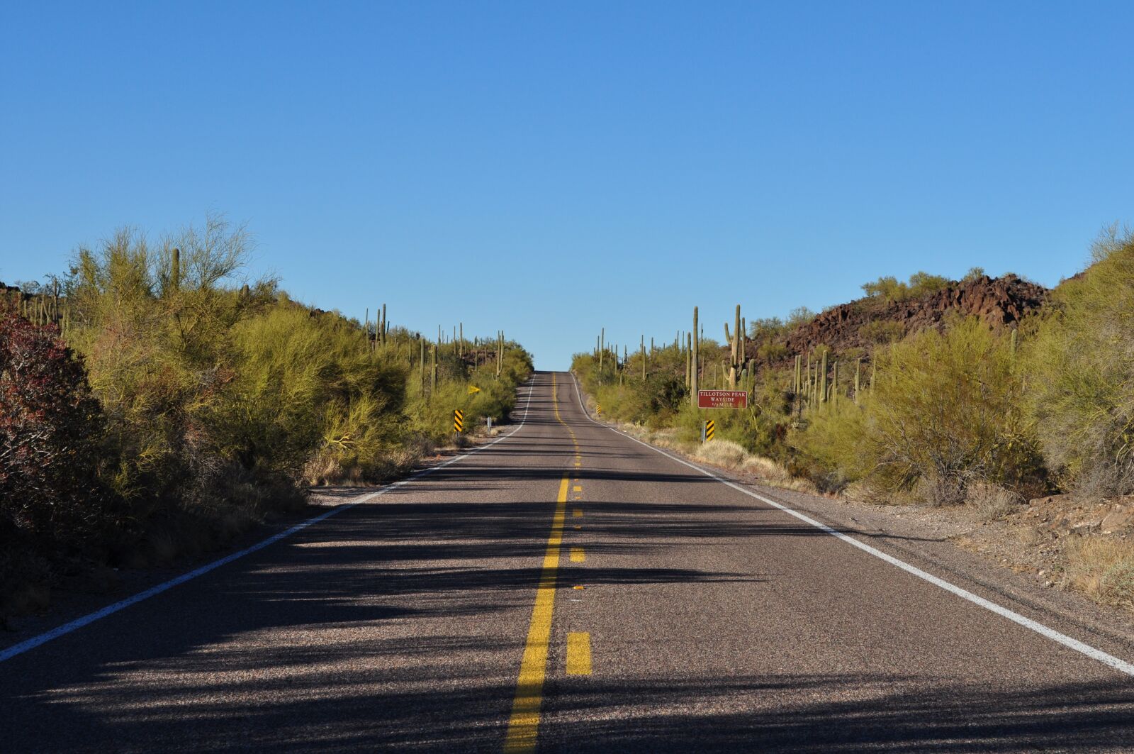 Nikon D5000 sample photo. Road, desert, cactus photography