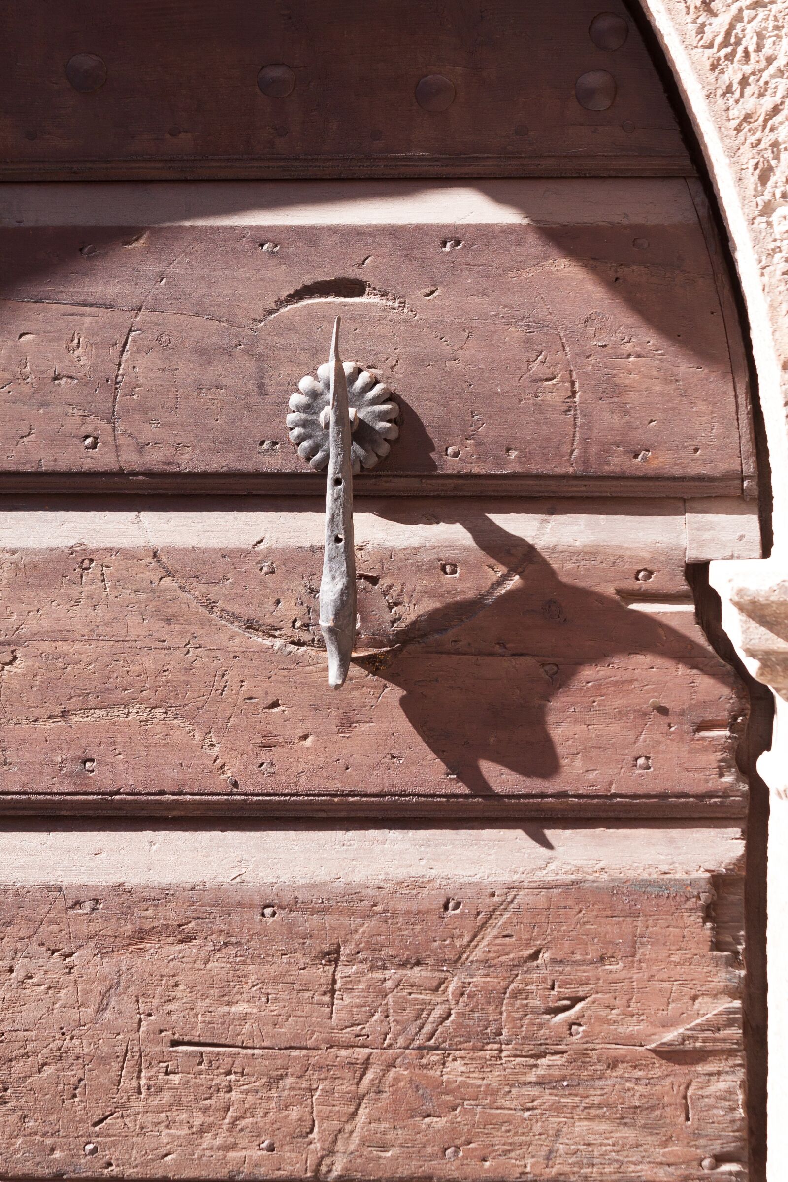 Canon EOS 50D sample photo. Doorknocker, door handle, fish photography