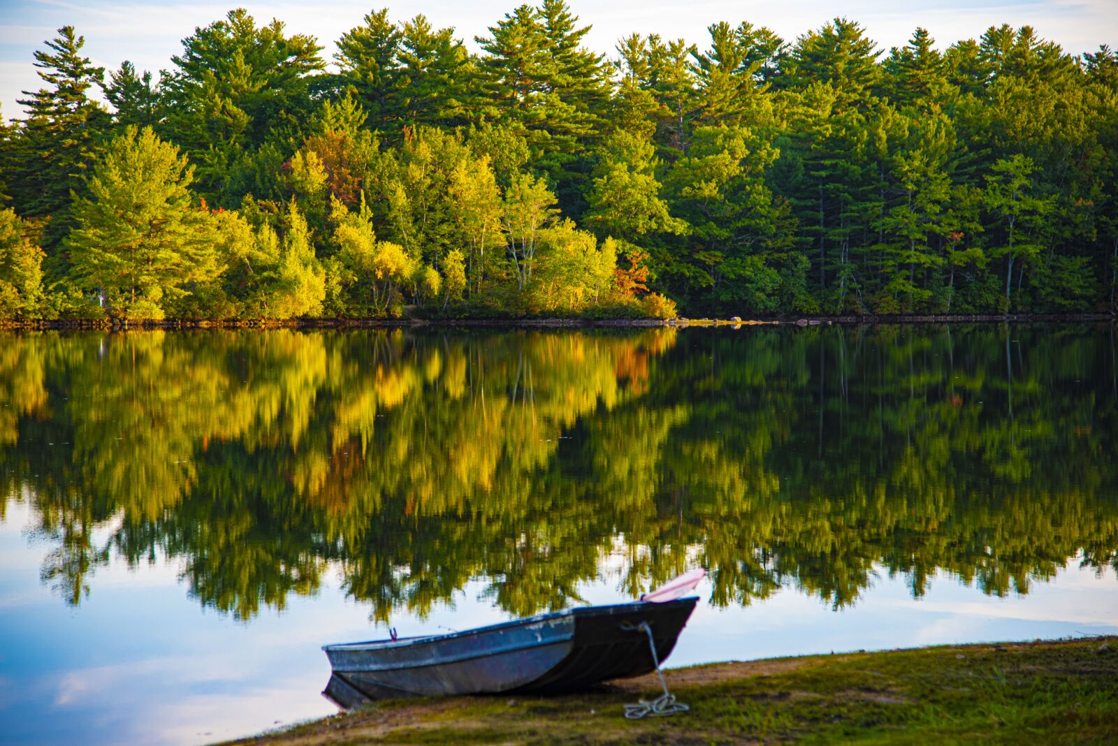 Nikon D750 sample photo. Reflection, water, nature photography
