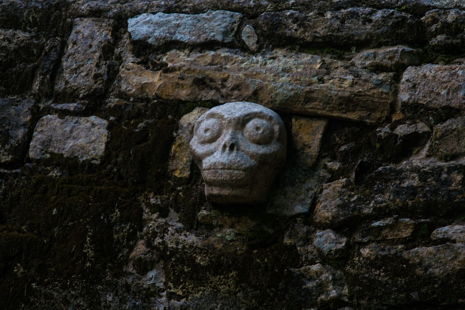 Nikon D5300 sample photo. Caribbean, coba, skull photography
