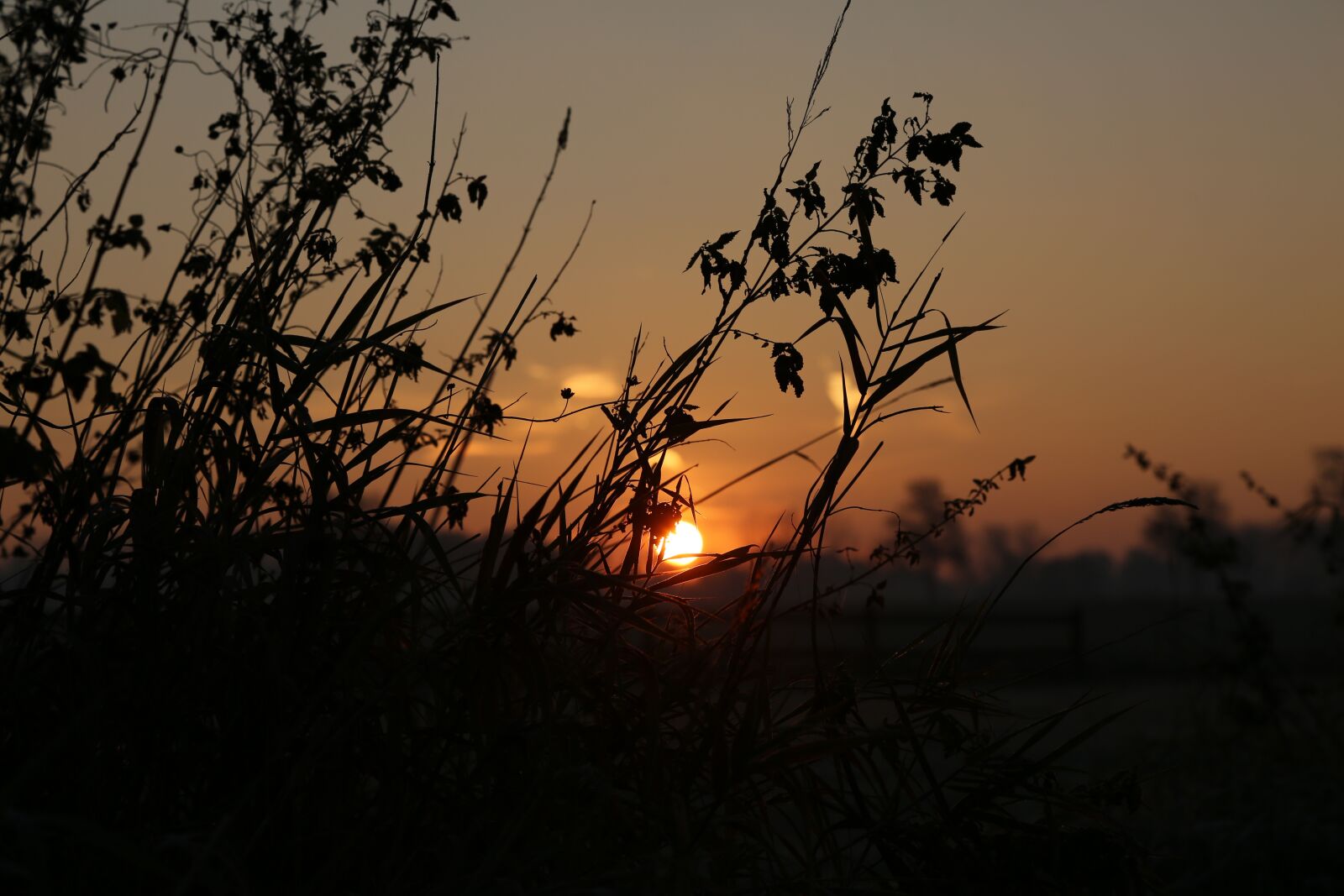 Canon EF 24-105mm F4L IS USM sample photo. Sunset, night crane, sky photography