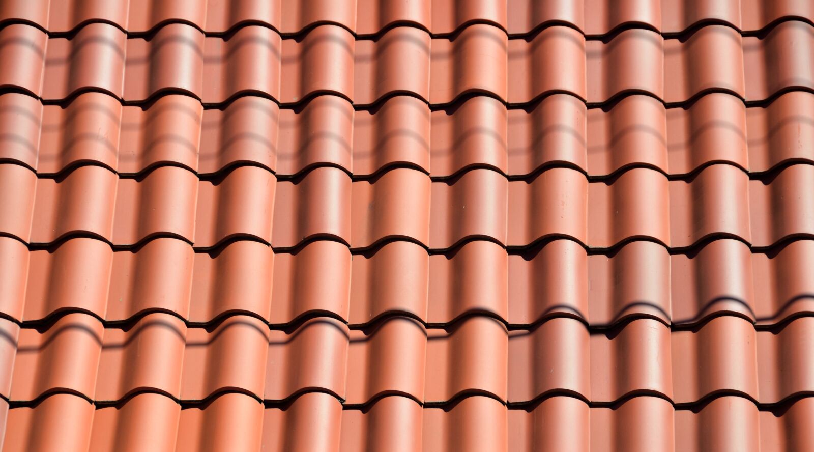 Nikon D7000 sample photo. Clay tile, roof, background photography
