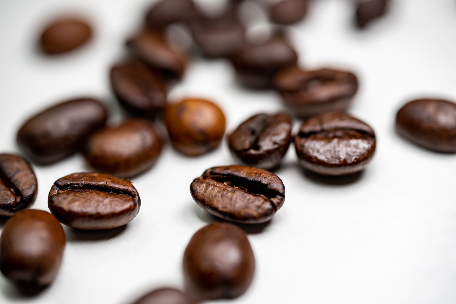 Sigma 70mm F2.8 DG Macro Art sample photo. Coffee, coffee bean, caffeine photography