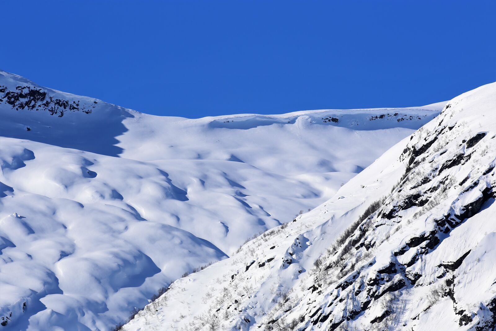 Canon EF 400mm F2.8L IS USM sample photo. Blue, skies, snow, capped photography