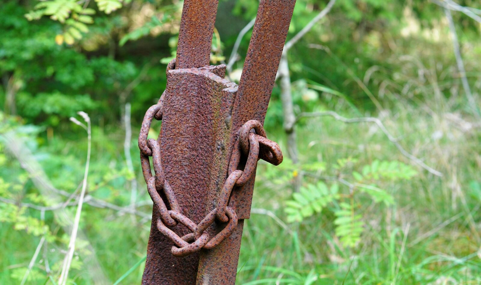Nikon D5000 sample photo. Rust, steel, chain photography