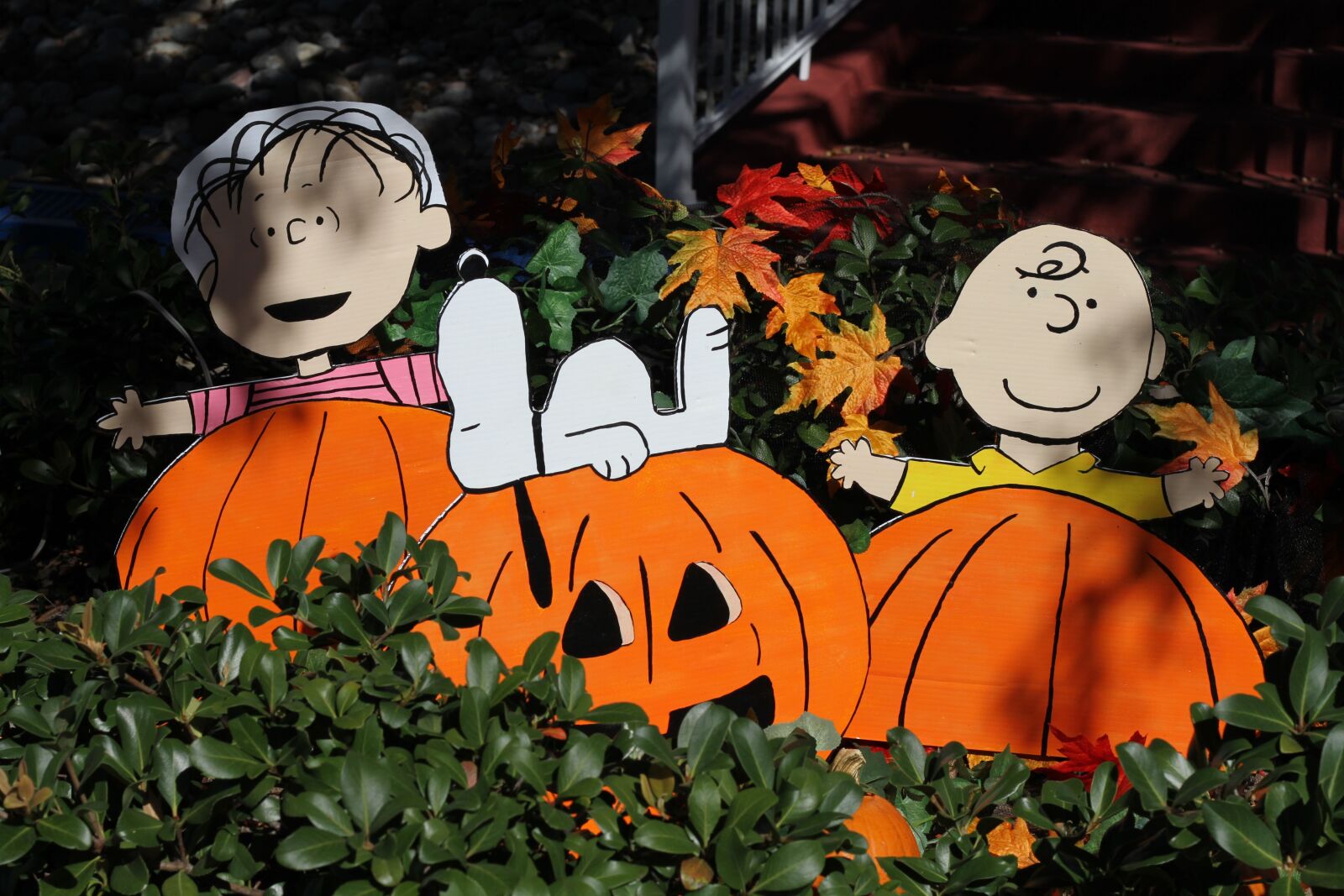 Canon EOS 7D sample photo. Thanksgiving, pumpkin, halloween photography