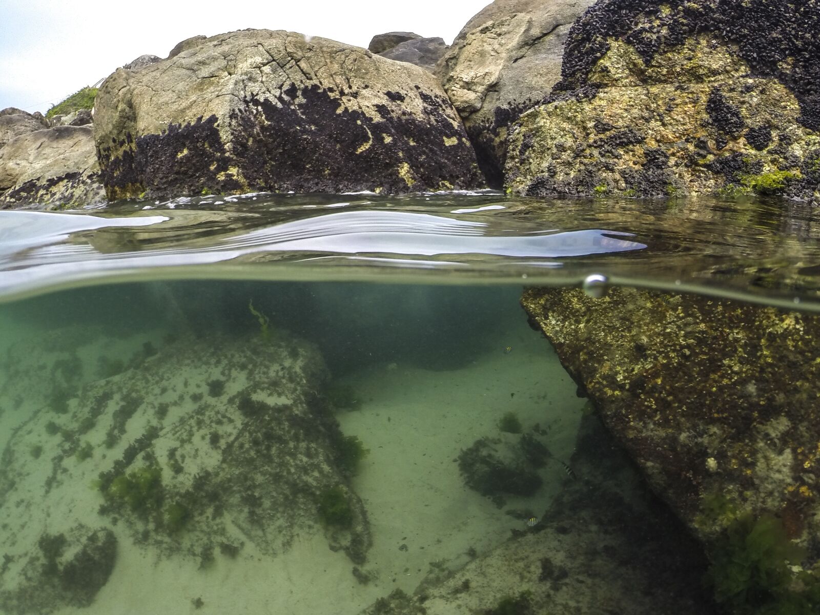 GoPro HERO3+ Black Edition sample photo. Diving, beach, mar photography