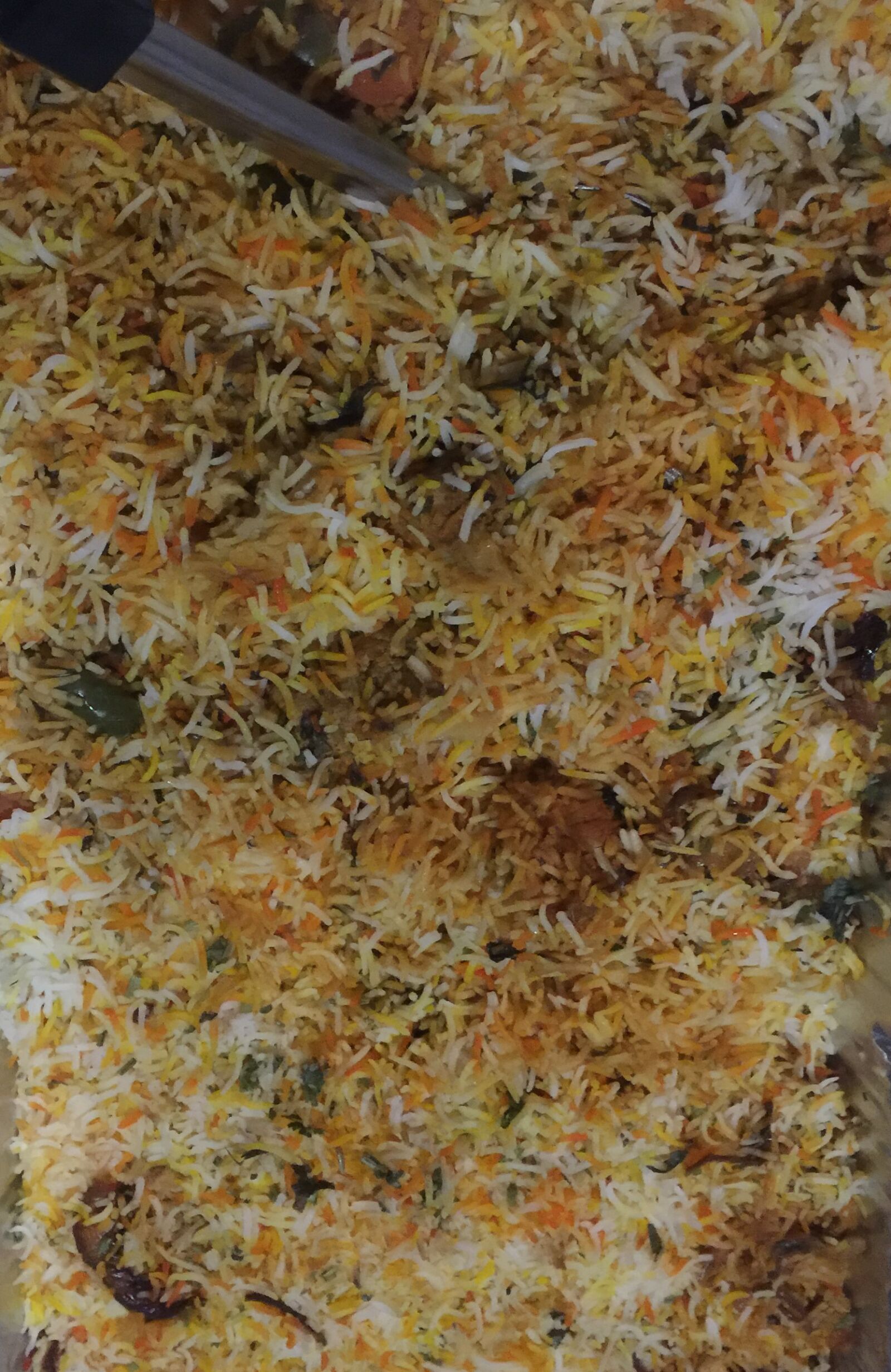iPhone 6 Plus back camera 4.15mm f/2.2 sample photo. Chicken, biriyani photography