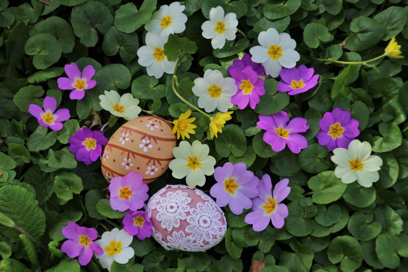 Canon EOS 80D sample photo. Easter, easter eggs, prymule photography