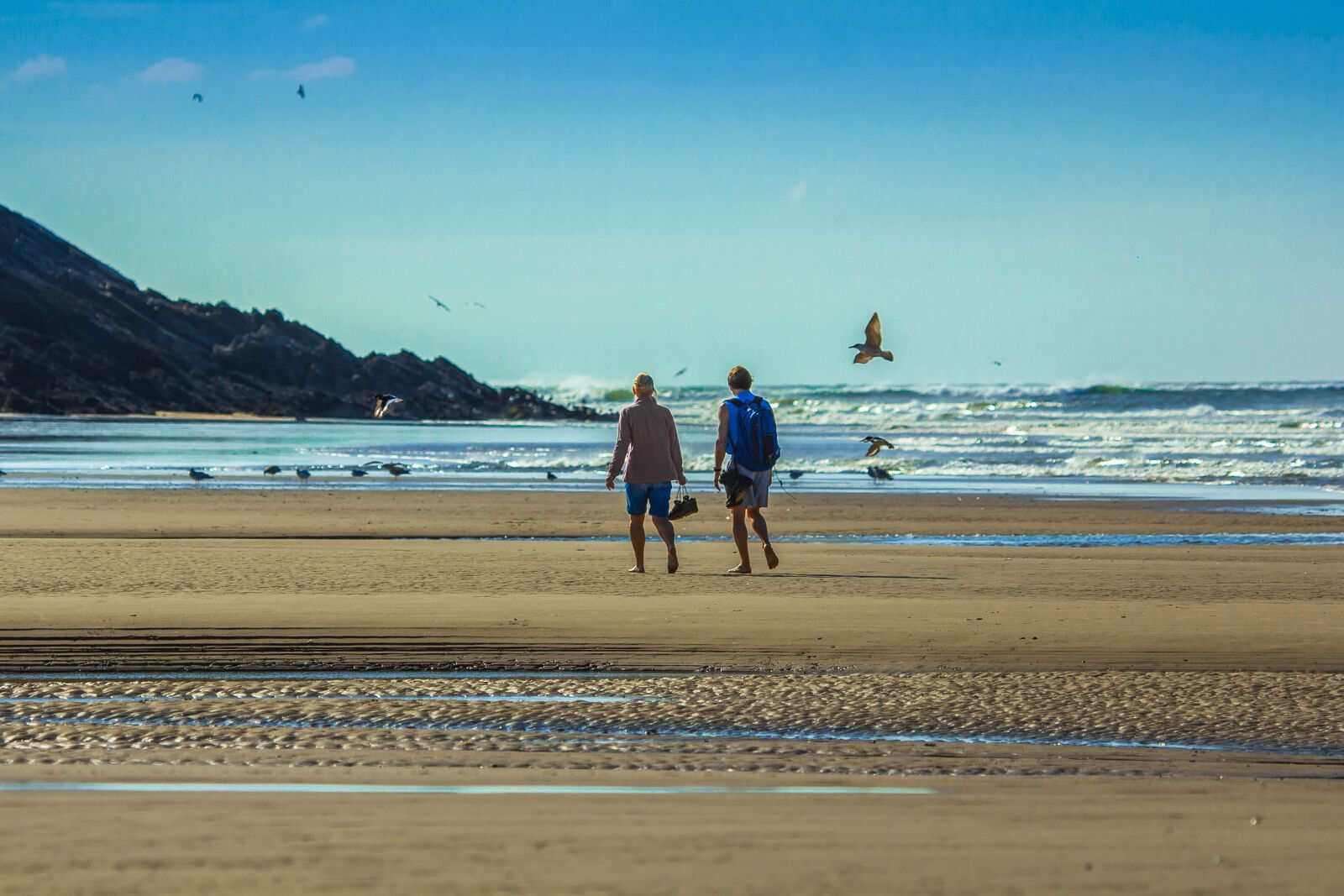 Canon EOS 60D sample photo. Beach, ocean, gulls photography