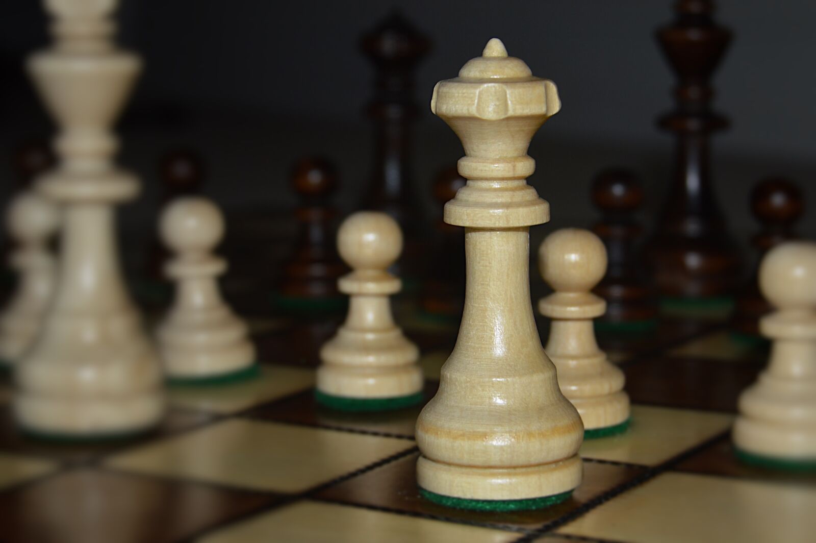 Nikon D3200 sample photo. Chess, queen, pawn photography
