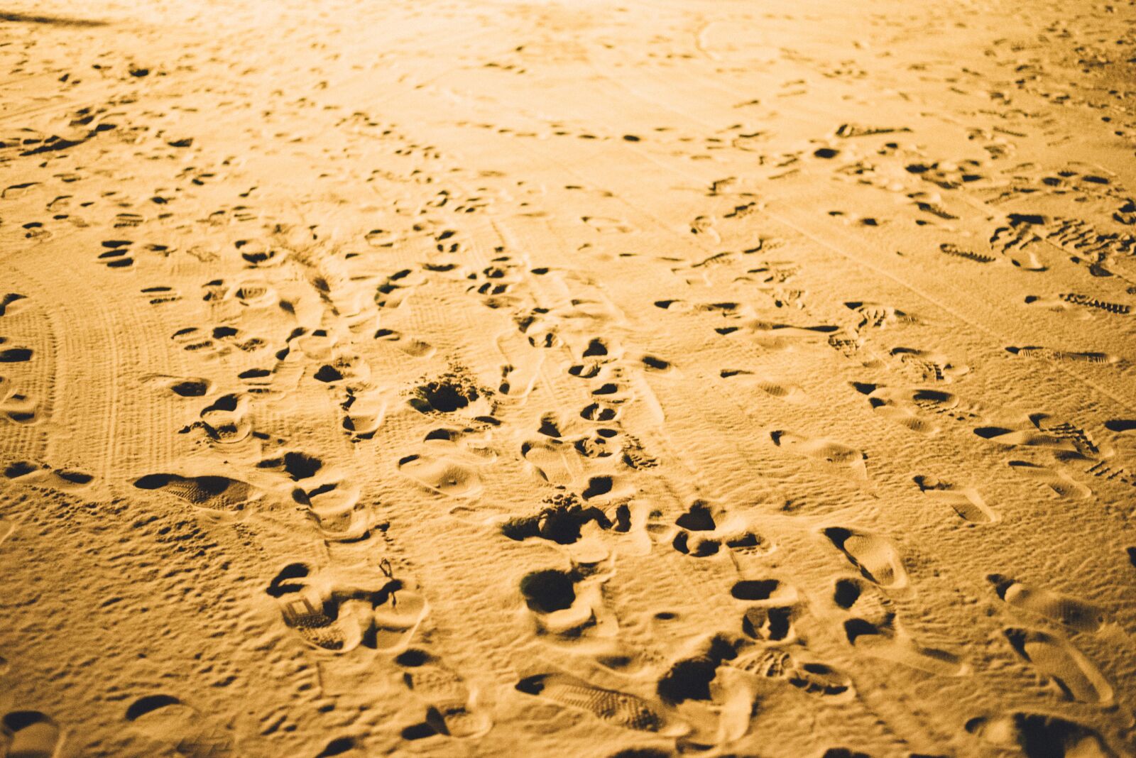 Nikon D750 sample photo. Sand, beach, footsteps photography