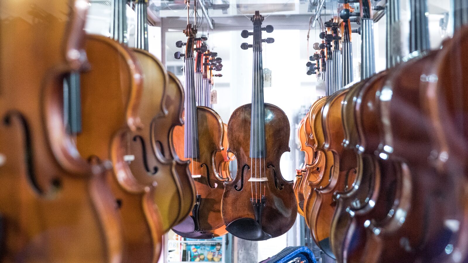 Panasonic Lumix DMC-GX8 sample photo. Instrument, violin, stringed instrument photography