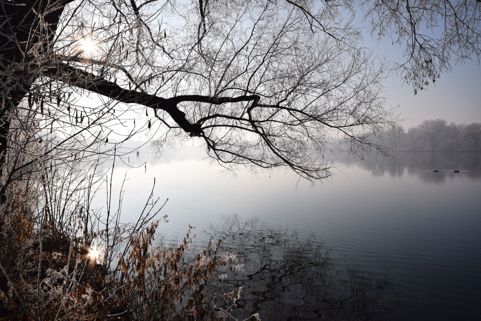 Nikon D5300 sample photo. Winter, lake, mood photography