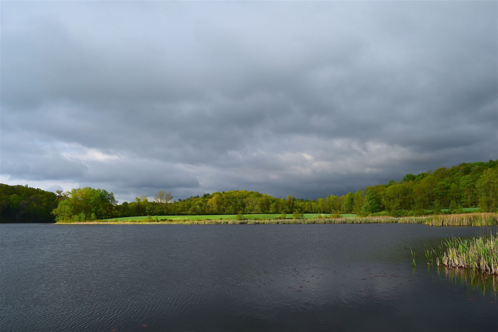 Nikon D3300 sample photo. Lake, grass, trees photography