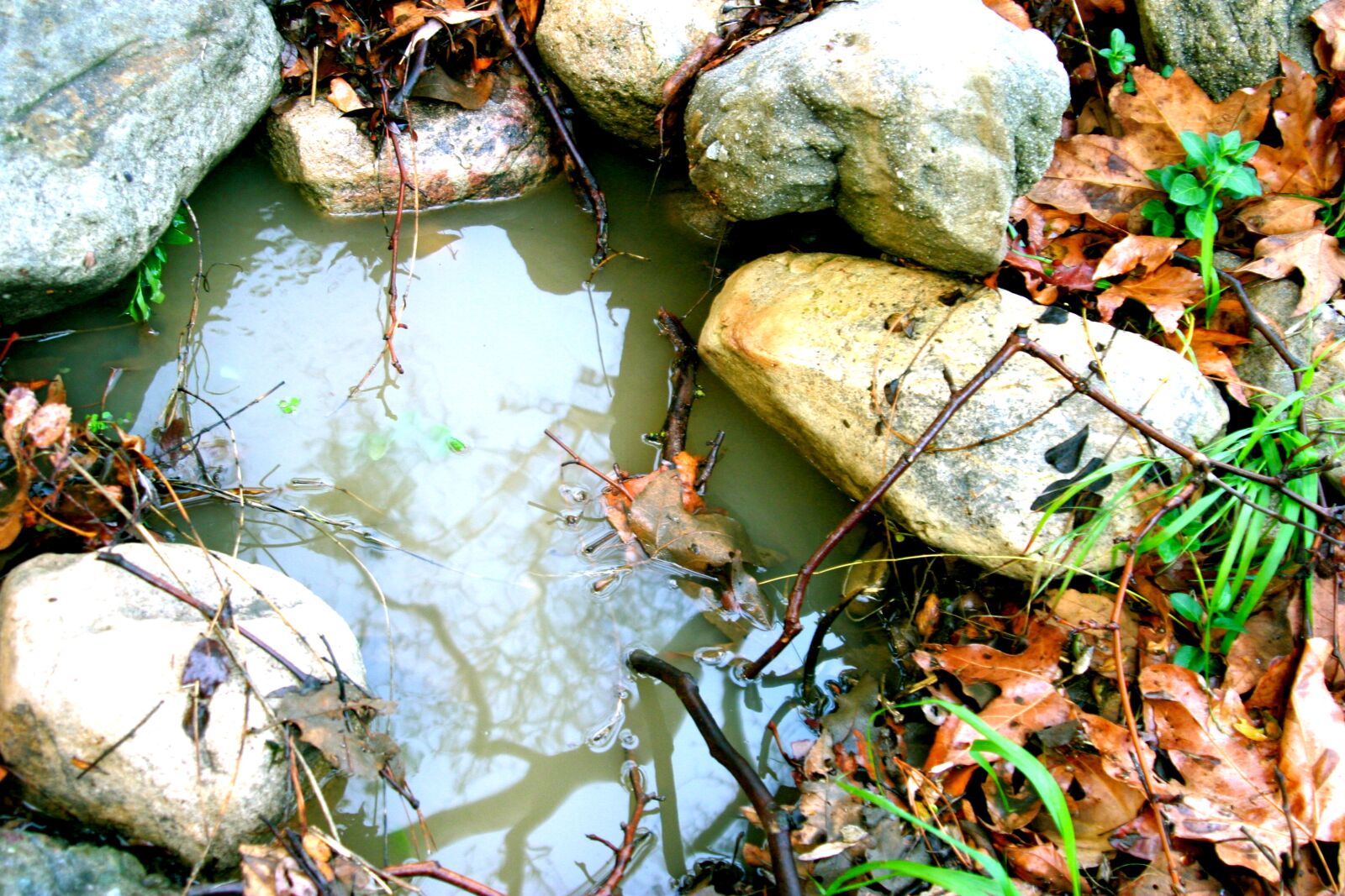 Canon EOS 10D sample photo. Creek, puddle, rocks, water photography