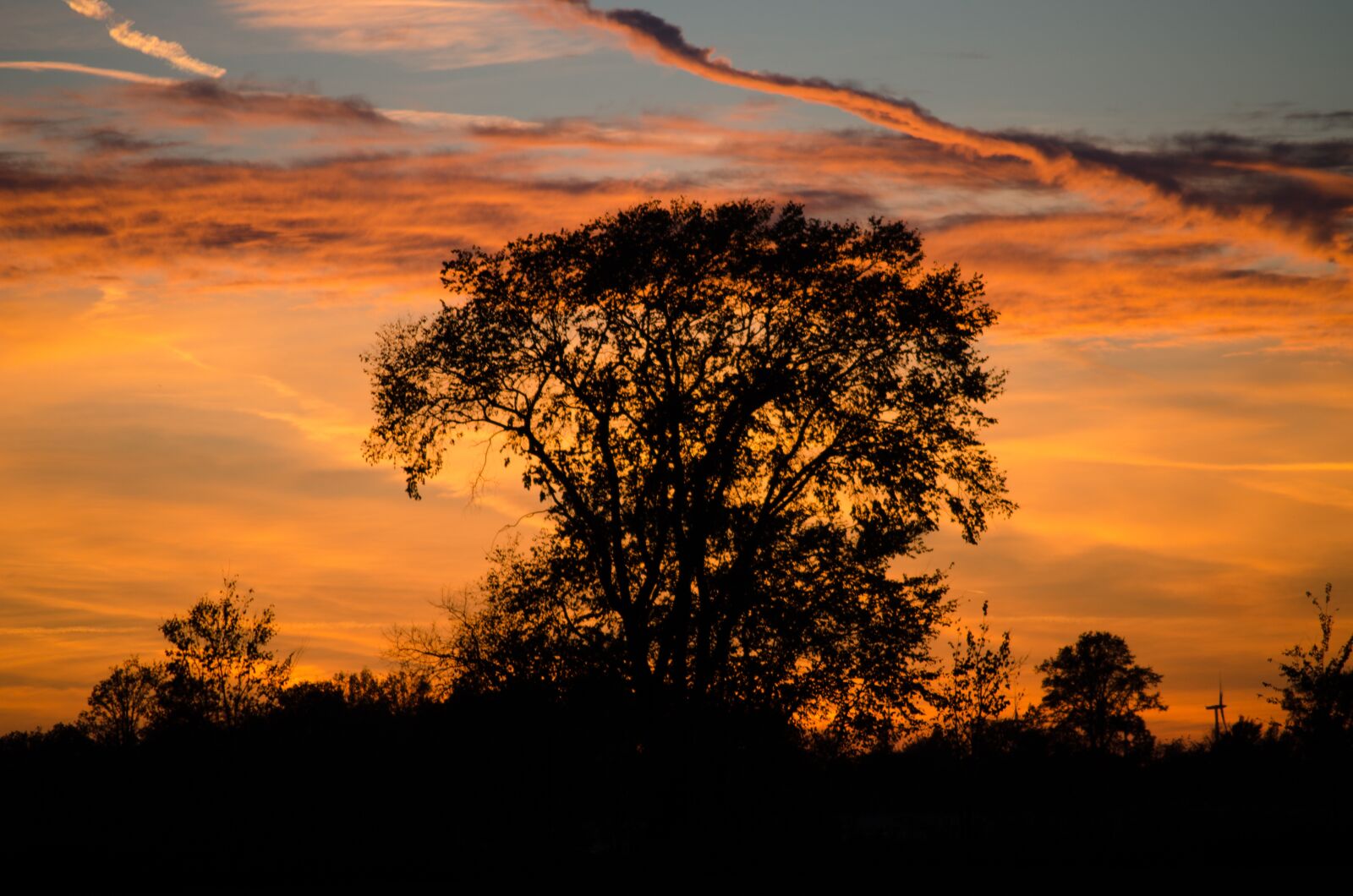 Nikon D7000 sample photo. Silhouette, sunset, orange photography