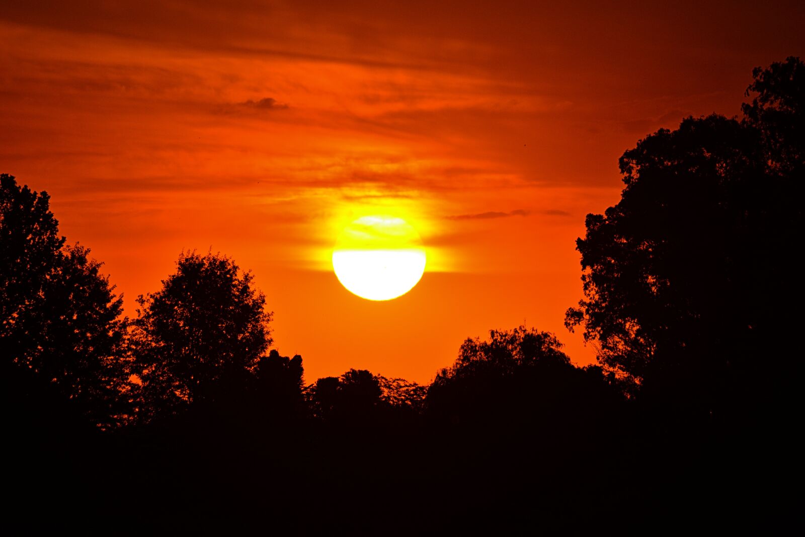 Nikon D5200 sample photo. Sunset, sun, silhouette photography
