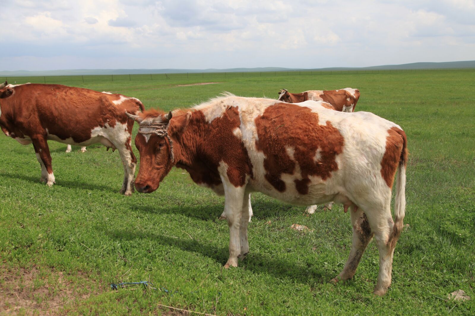 Canon EOS 5D Mark II sample photo. Sky, prairie, the scenery photography