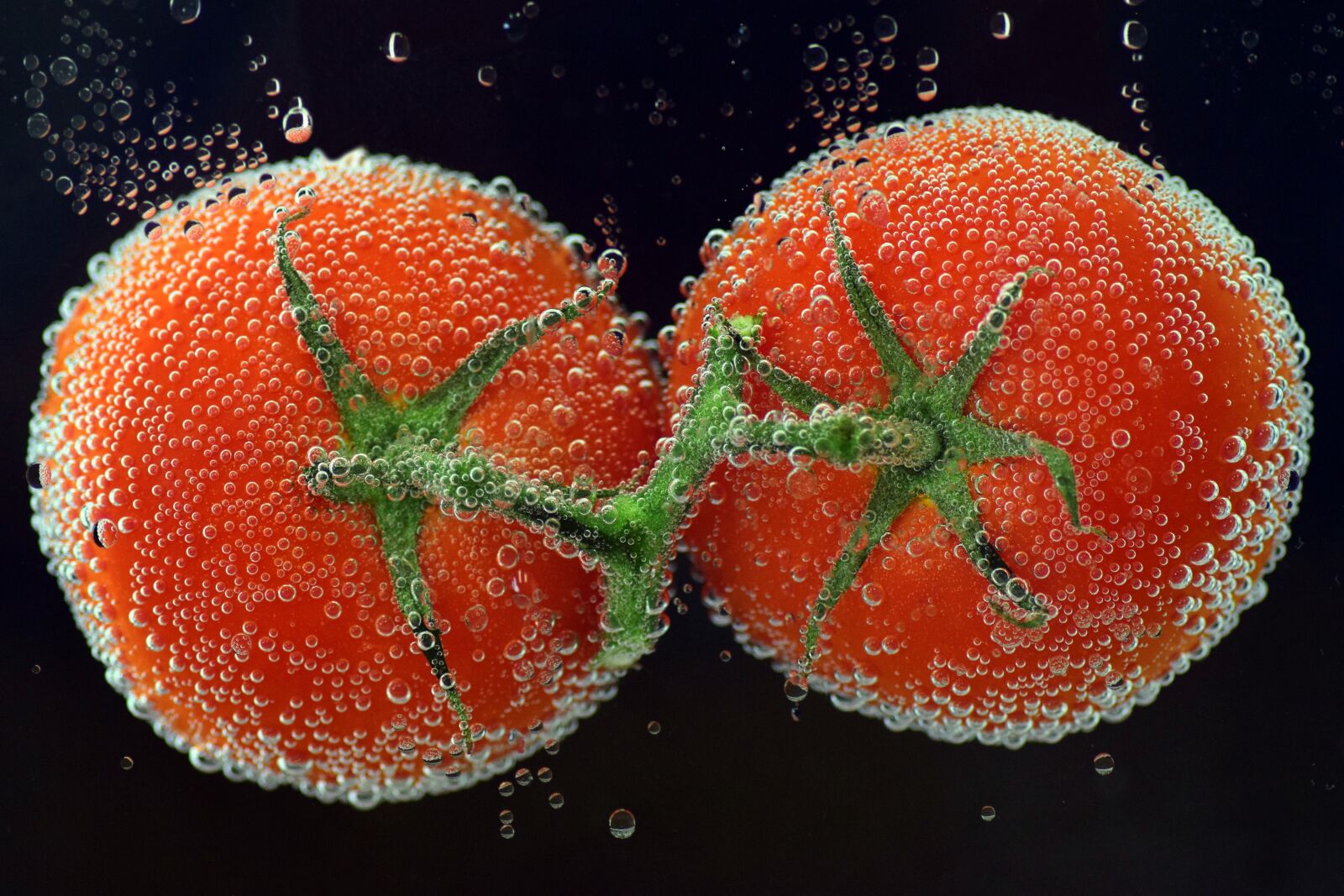 Nikon D3300 sample photo. Tomatoes, round, red photography