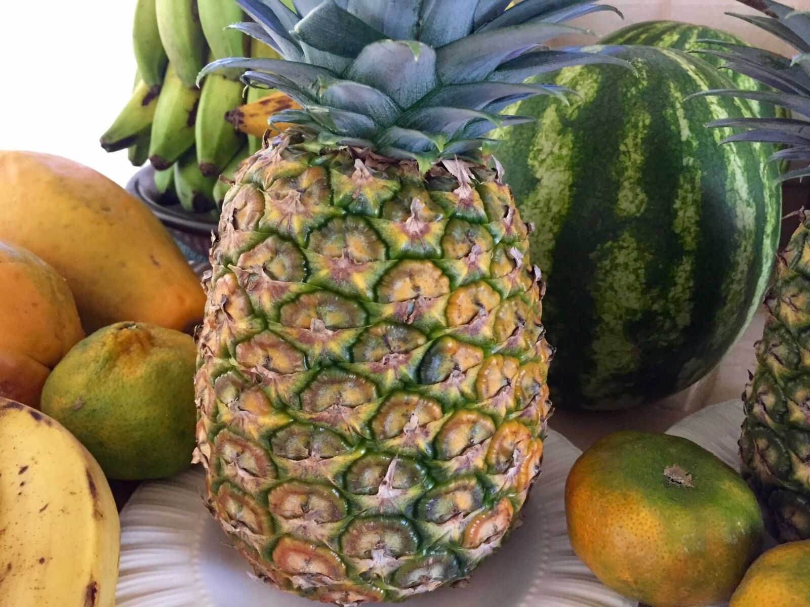 Apple iPhone 6 sample photo. Fruits, tropical fruit, tropical photography