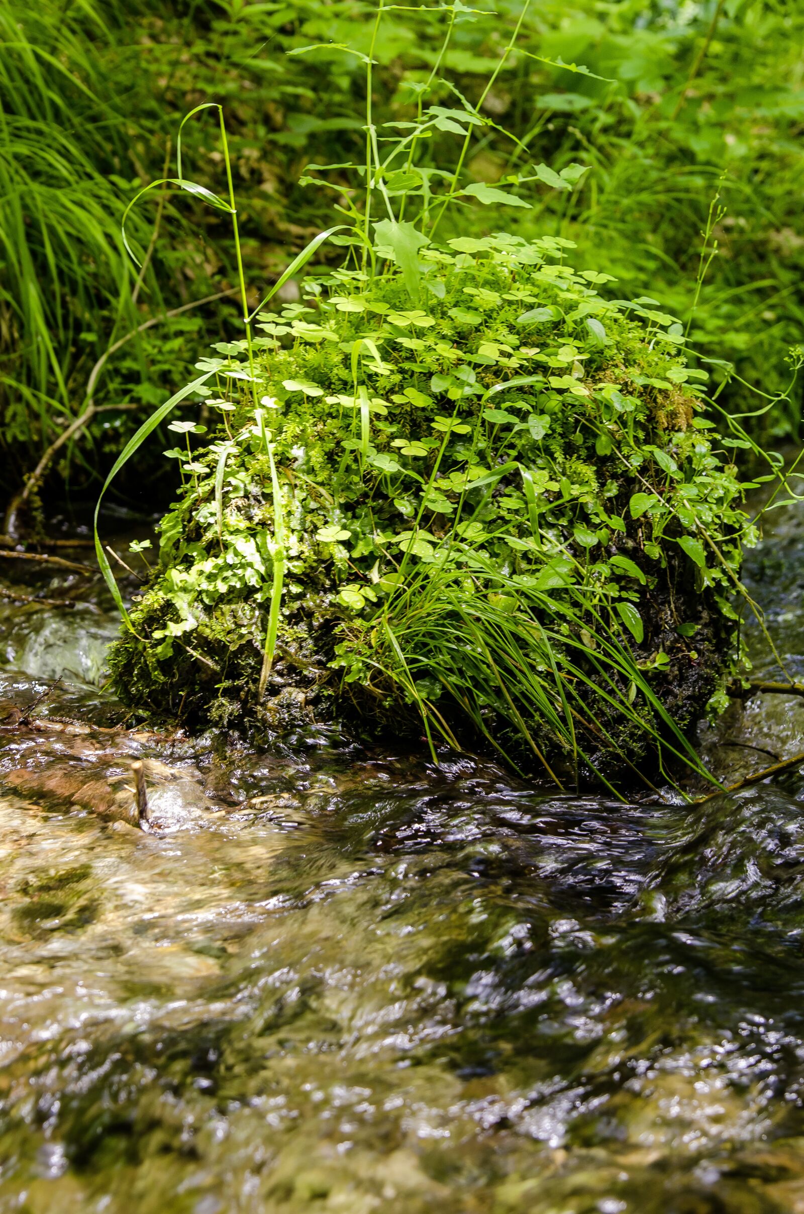 Nikon D7000 sample photo. Water, mood, nature photography