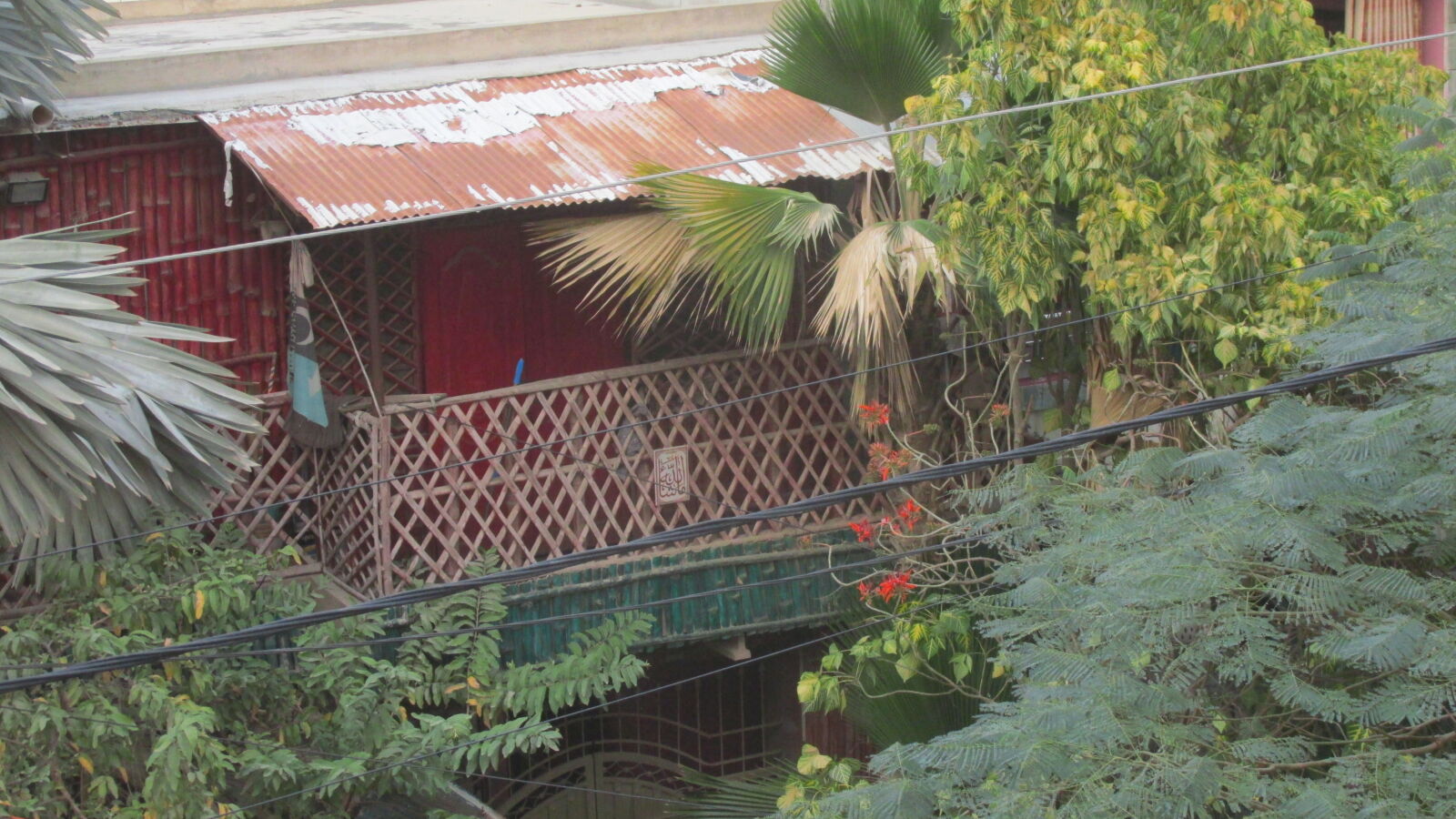 Canon PowerShot SX170 IS sample photo