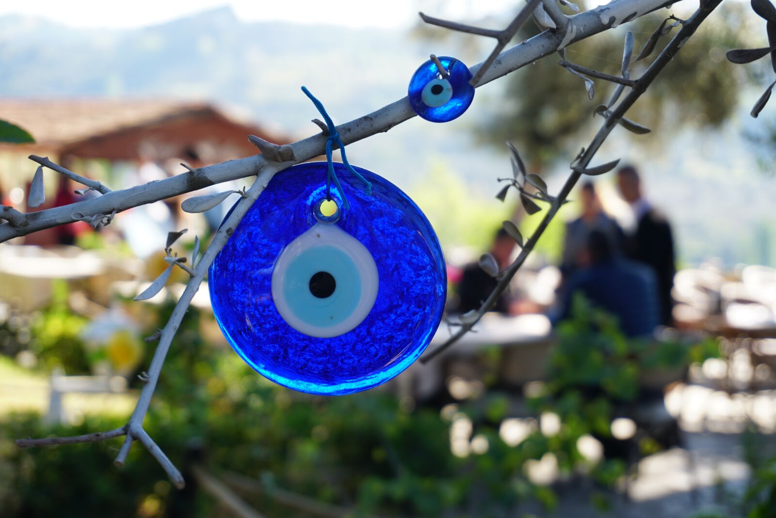 Sony a6300 sample photo. Bead, nature, natural turkey photography