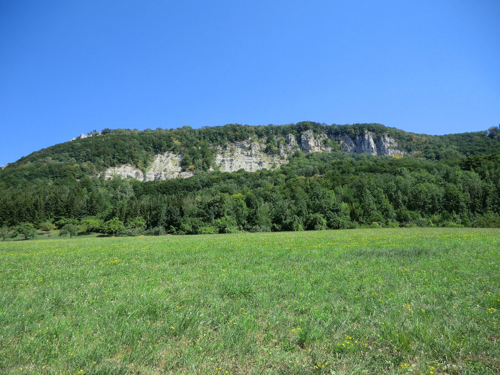 CASIO EX-H5 sample photo. Meadow, summer, rock photography