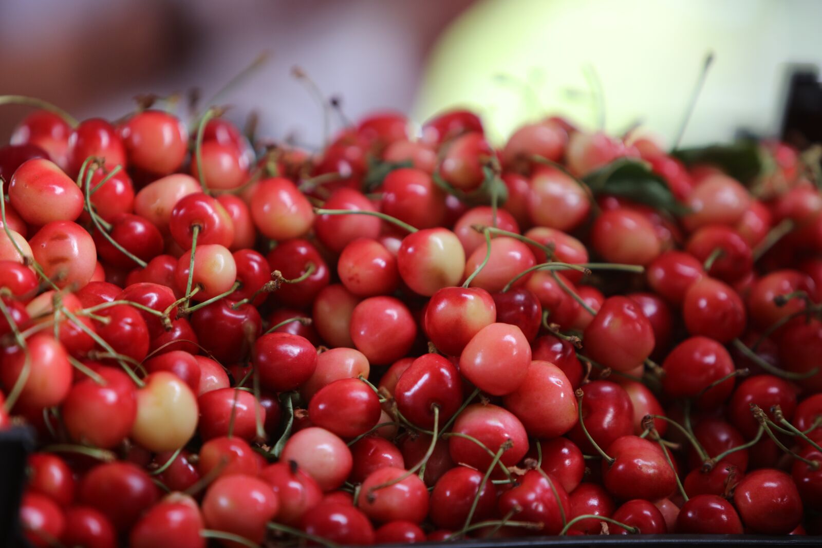 Canon EF 70-200mm F2.8L IS USM sample photo. Cherry, fruit, fruits photography