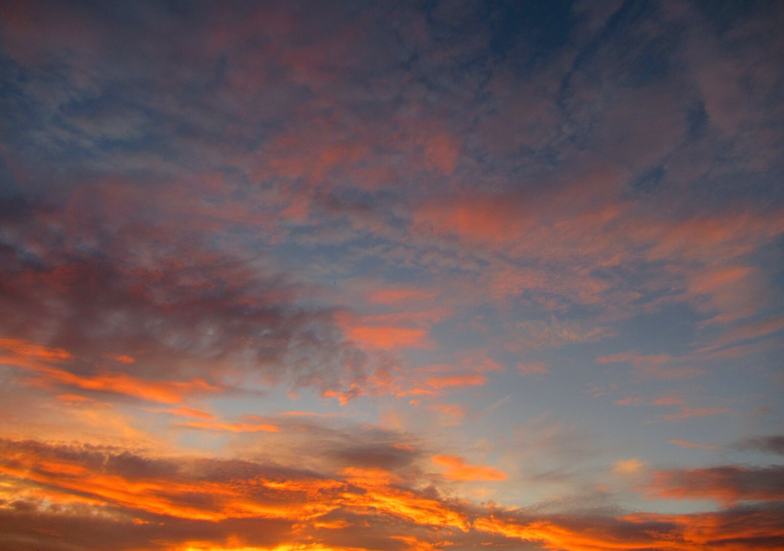 Canon PowerShot SX620 HS sample photo. In the morning, sunrise photography