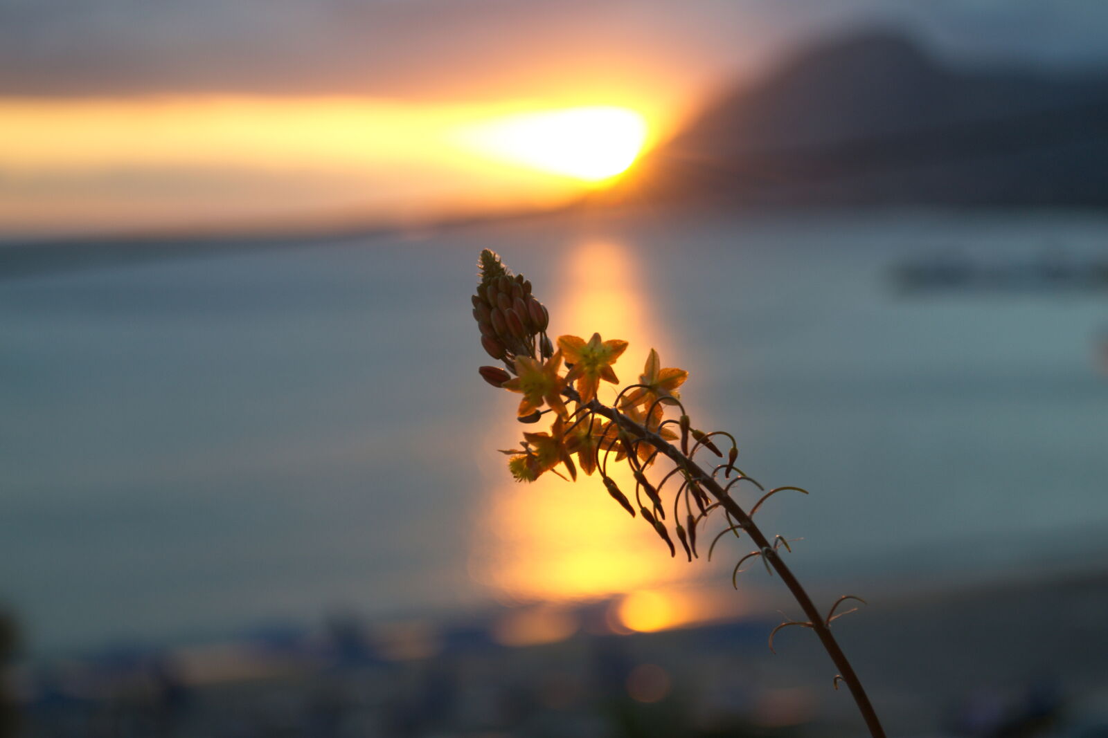 Nikon D3100 sample photo