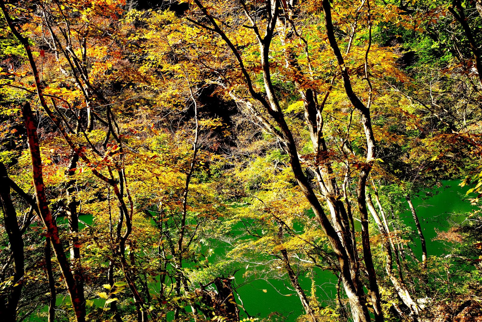Fujifilm X-T10 sample photo. Autumn, beautiful, japan photography