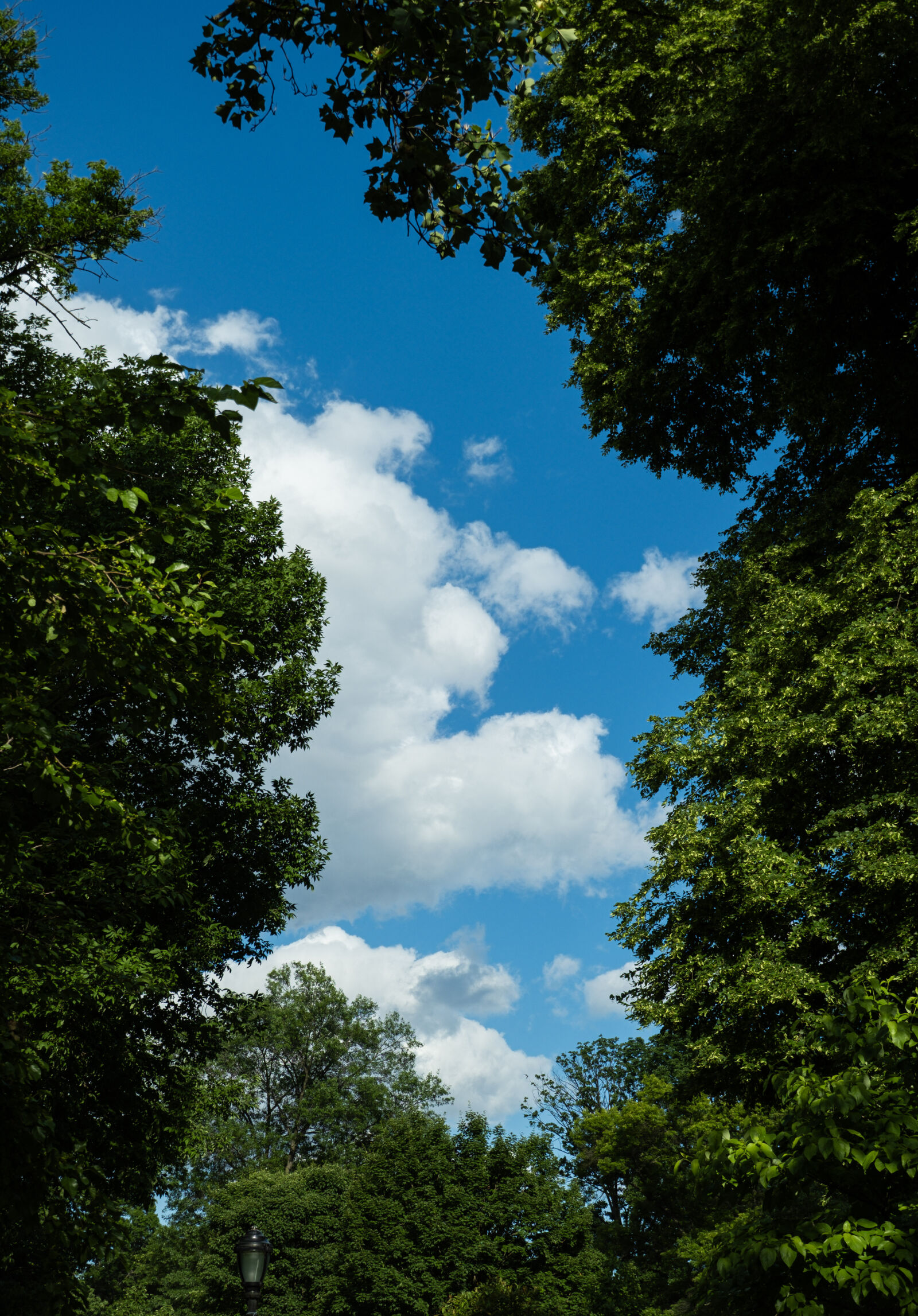 Fujifilm X-T30 III sample photo