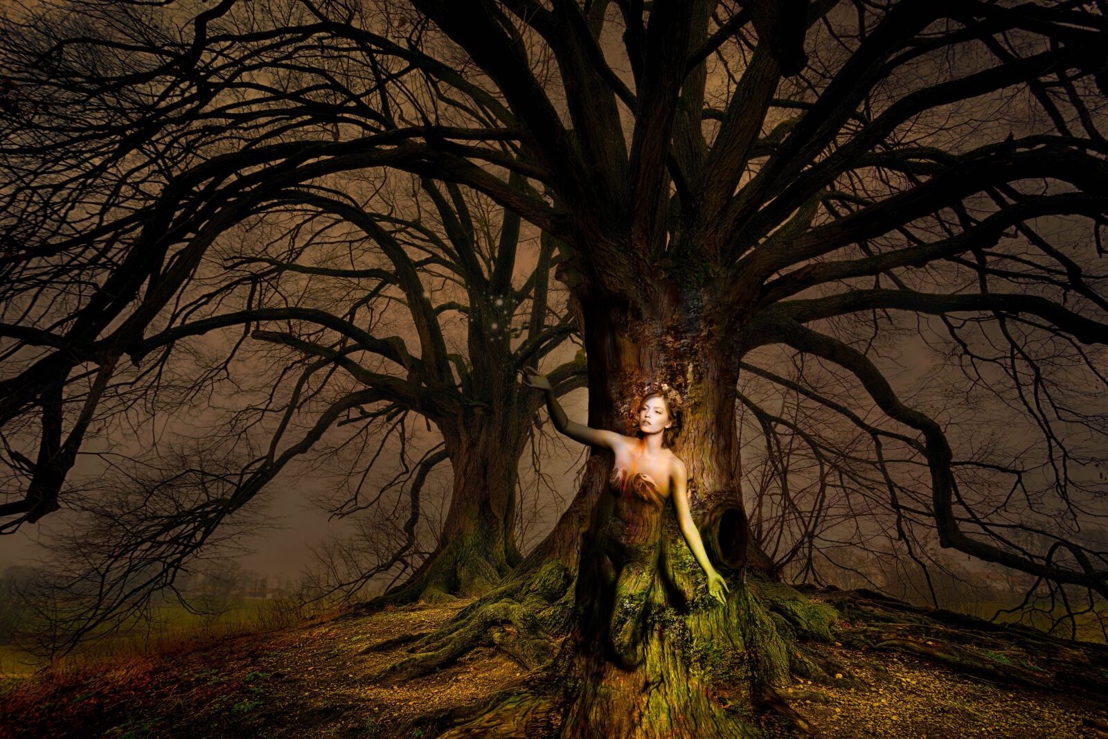 Sony a7 sample photo. Fantasy, woman, tree photography