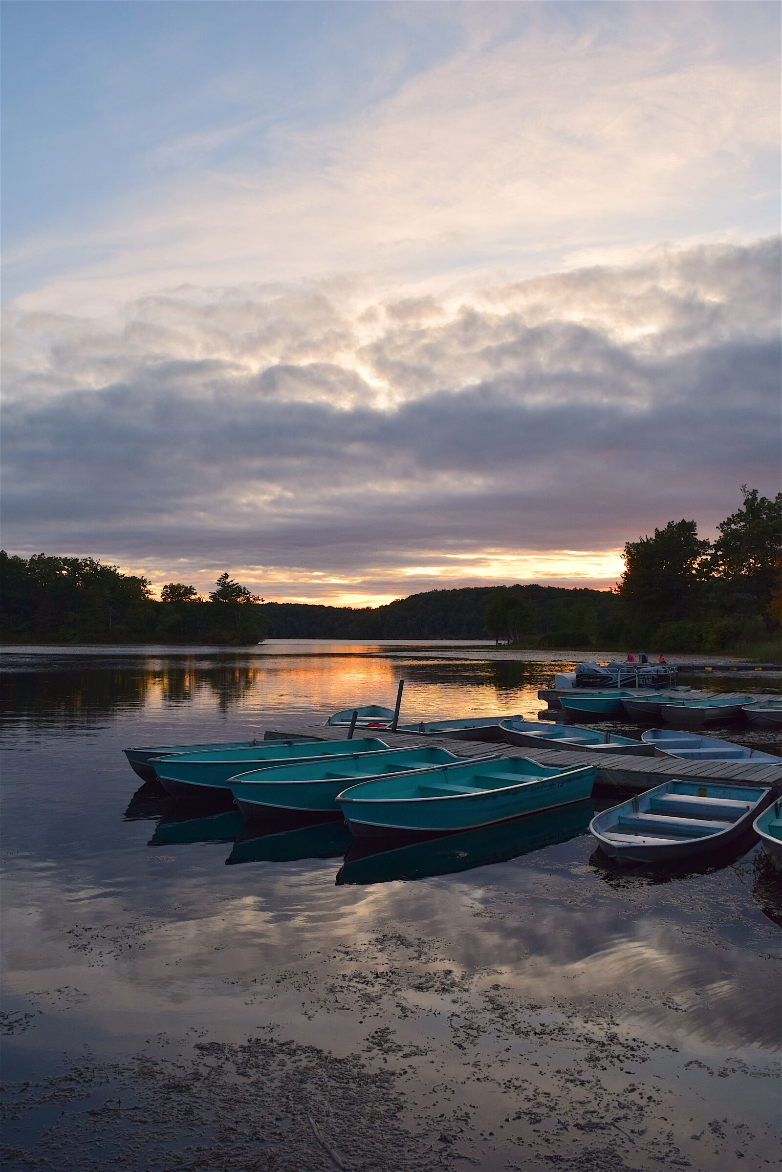 Nikon D3300 sample photo. Lake, sunset, park photography
