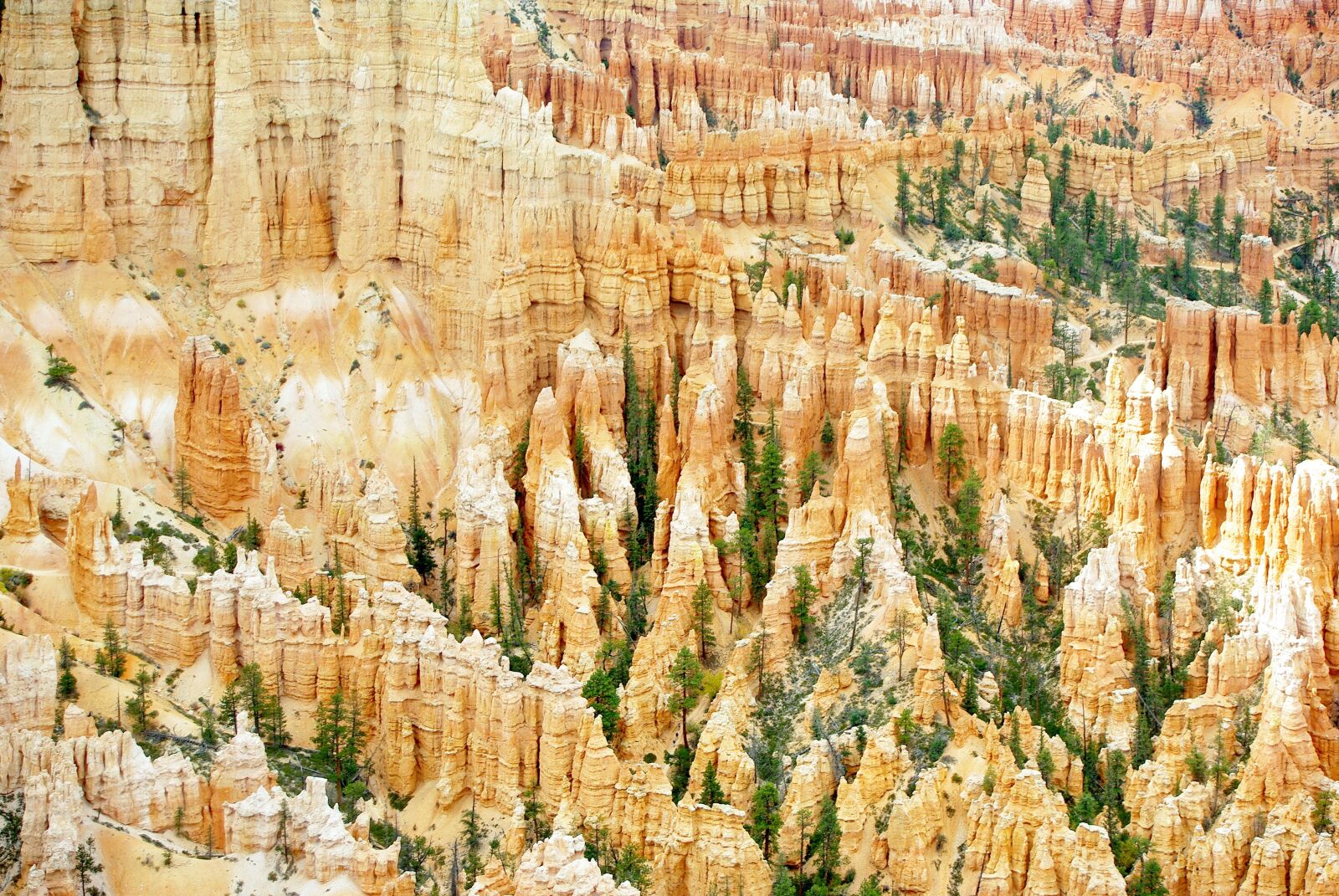 Pentax K200D sample photo. Usa, bryce canyon, utah photography