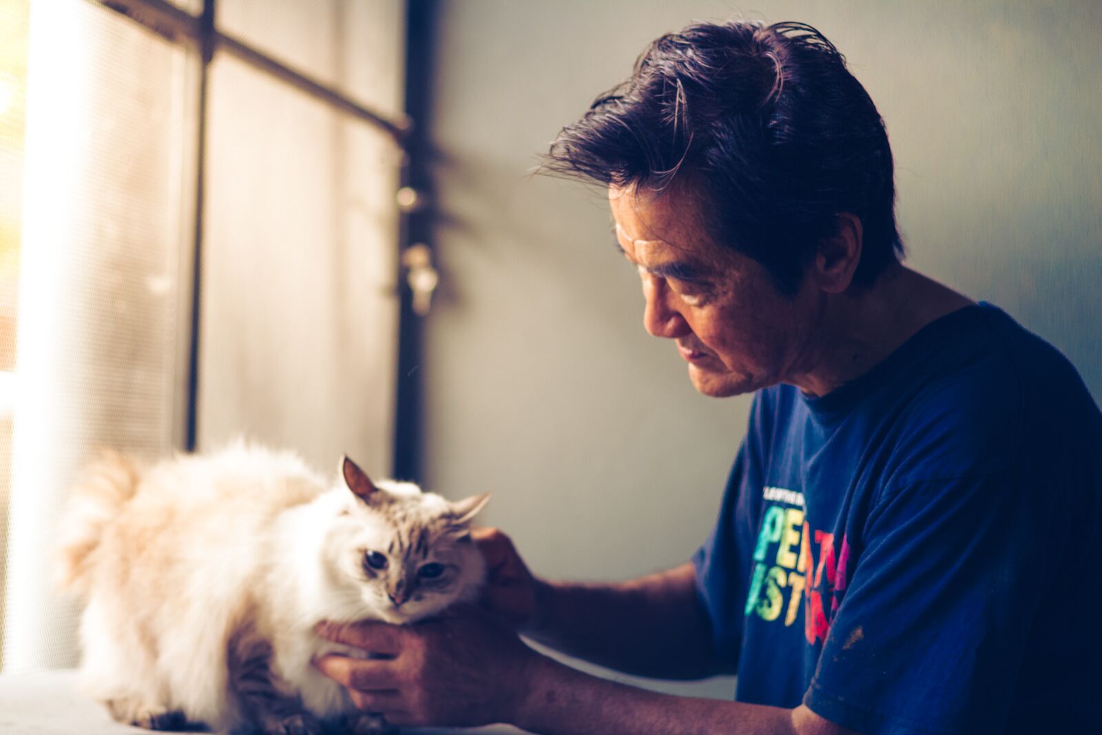 Canon EOS 700D (EOS Rebel T5i / EOS Kiss X7i) + Canon EF 50mm F1.8 STM sample photo. Pet, cat, animal photography