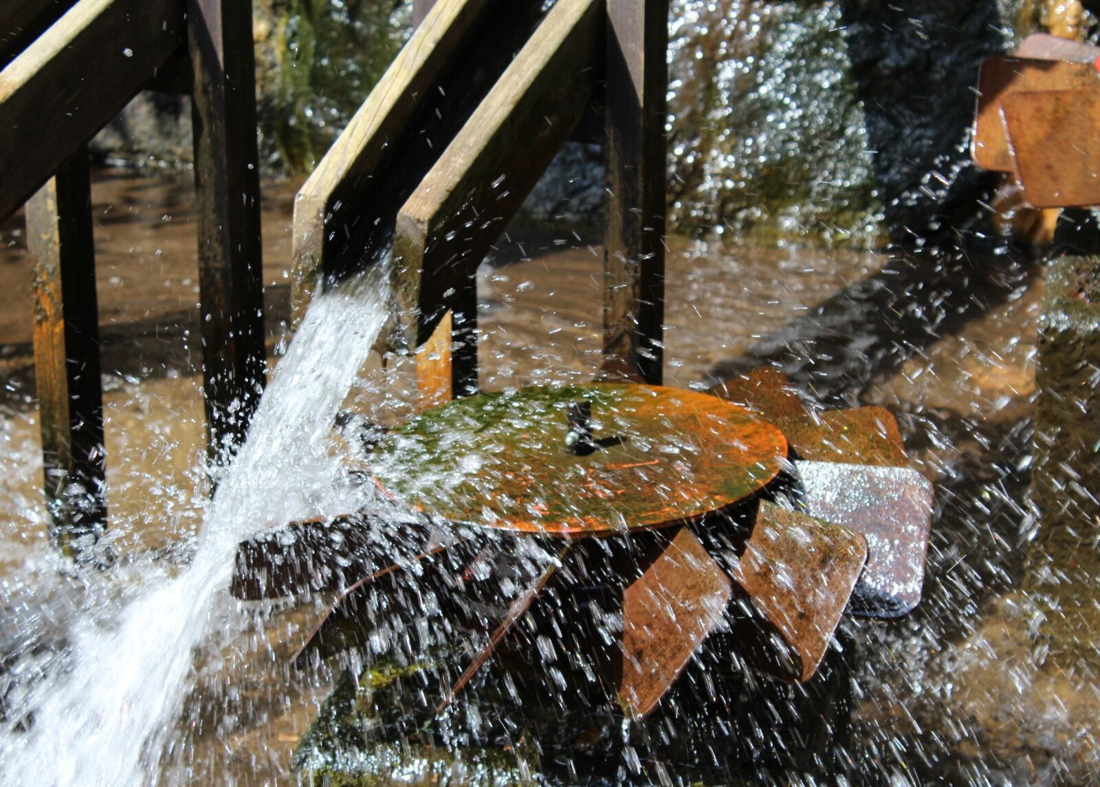 Canon EOS 1200D (EOS Rebel T5 / EOS Kiss X70 / EOS Hi) sample photo. Water games, water, drip photography