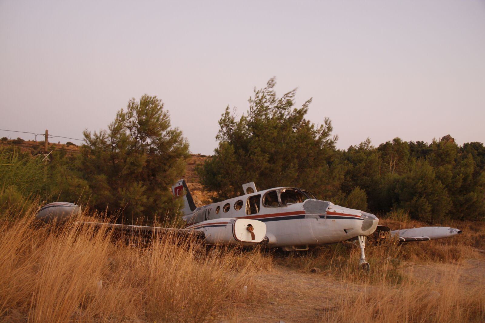 Canon EOS 450D (EOS Rebel XSi / EOS Kiss X2) sample photo. Plane, crash, shrubs photography