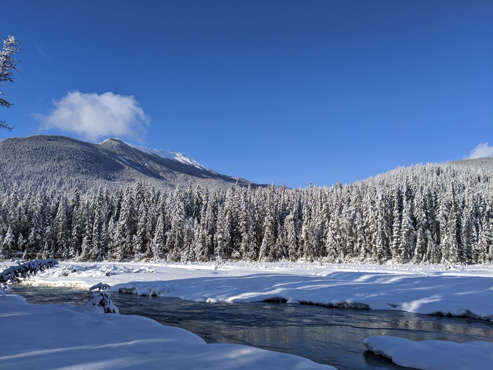 Google Pixel 3 sample photo. Blaeberry river, blaeberry, british photography