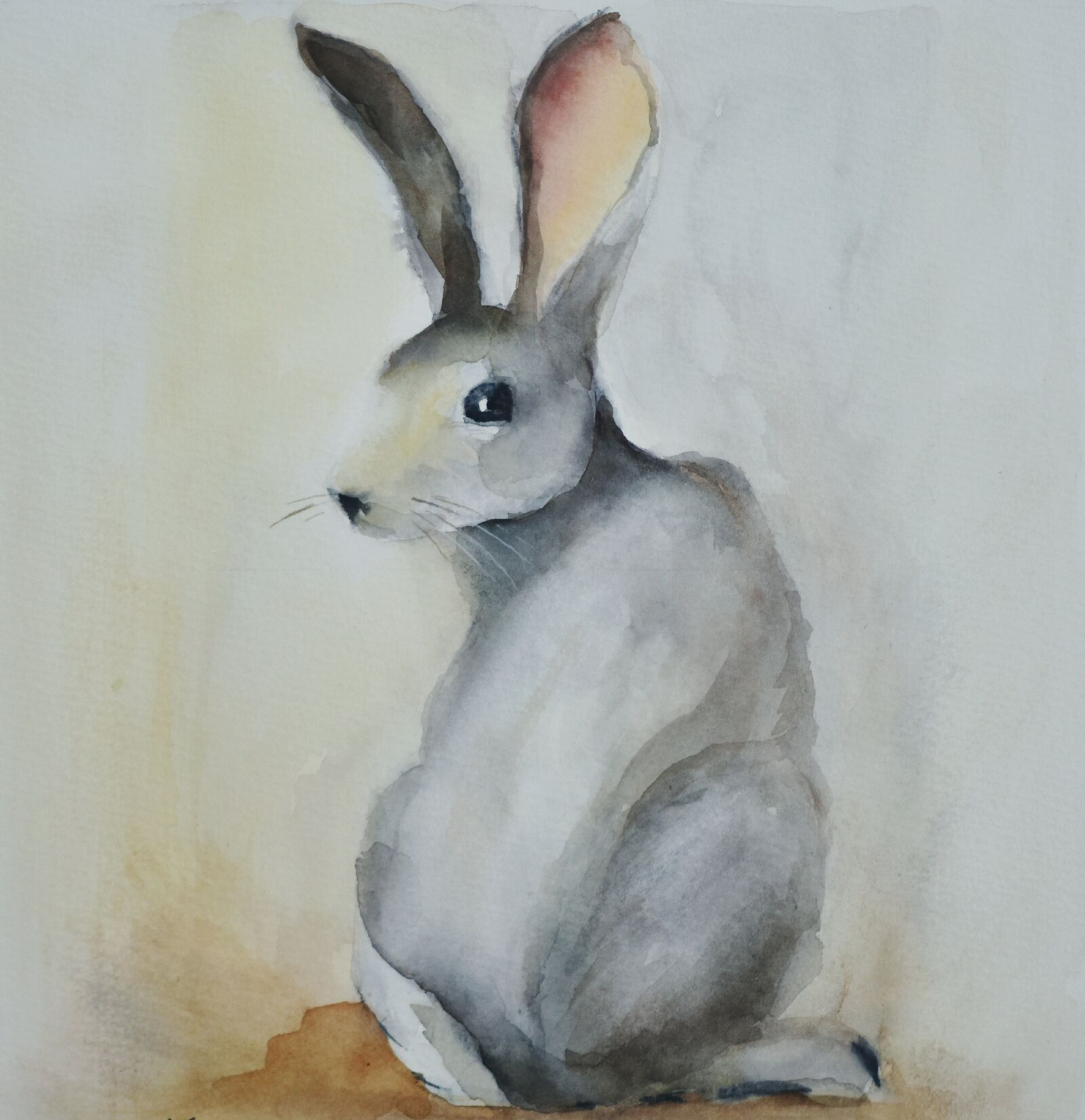 Nikon D5500 sample photo. Painting, art, watercolour photography