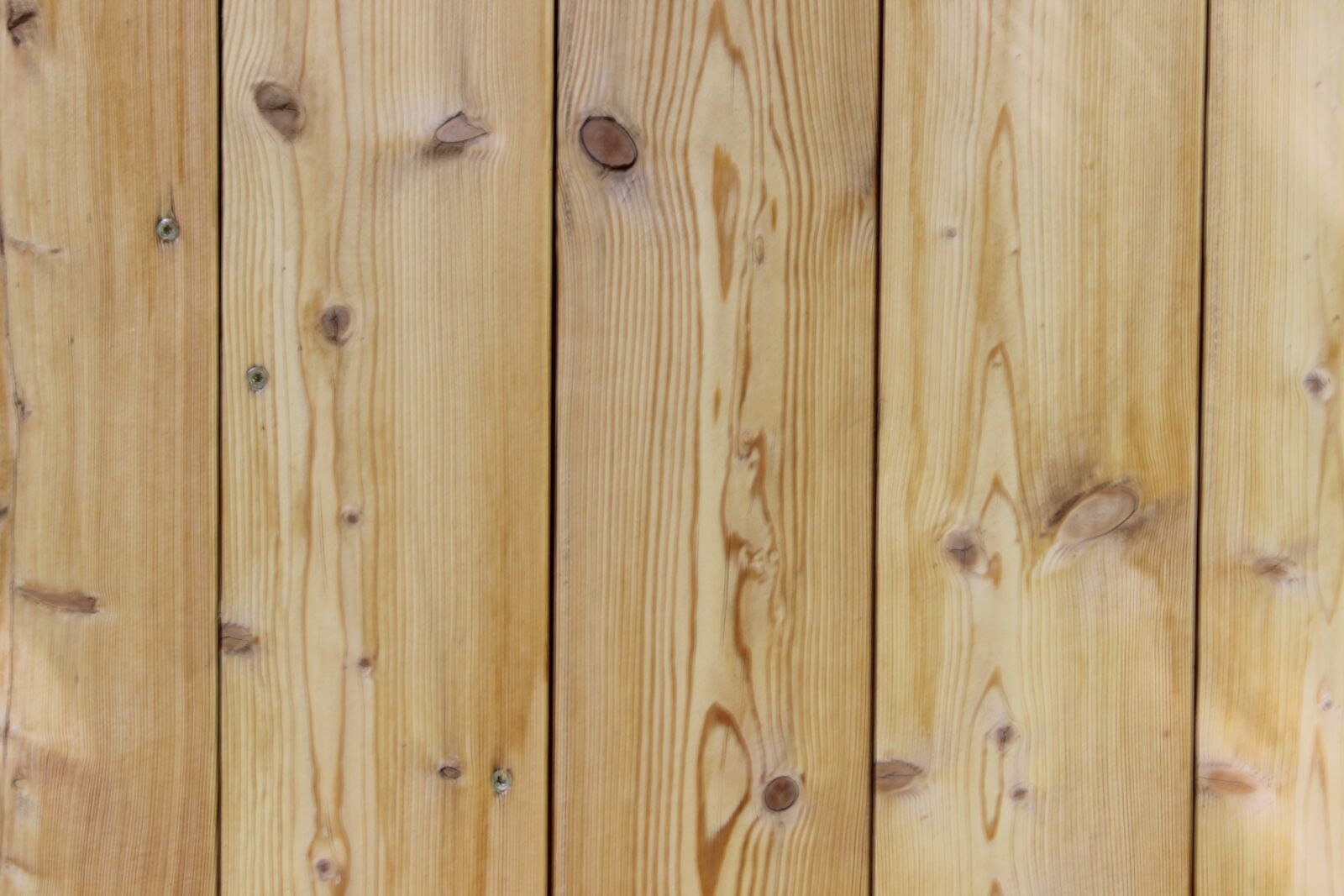 Canon EOS 600D (Rebel EOS T3i / EOS Kiss X5) sample photo. Wood, boards, background photography