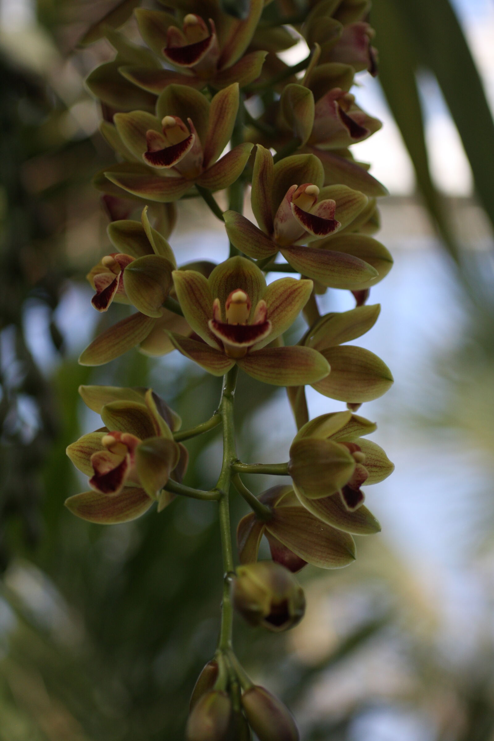 Sigma 50mm f/2.8 EX sample photo